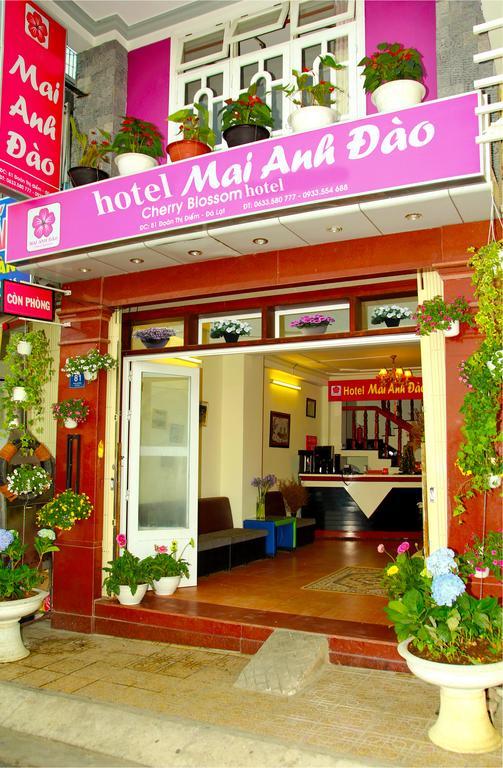 Mai Anh Dao Hotel Da Lat Exterior photo